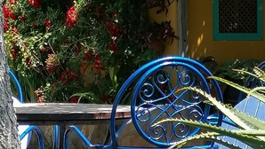 A yellow wall with red flowers and a blue metal gate. - Andalucía; Cádiz; Vejer de la Frontera;  cottage  Finca la Hijuela, casa Encina (Vejer de la Frontera)