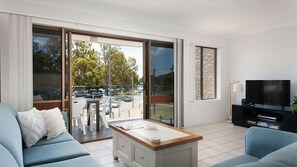 TV, DVD player, books