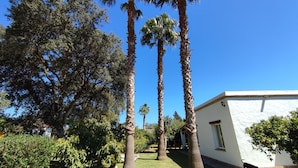 A well-maintained garden with tall palm trees and a white building with a small patio area. - Finca la Hijuela, Casa Azahar Andalucía; Cádiz; Vejer de la Frontera; (Vejer de la Frontera)