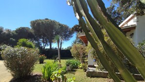 Ein Garten mit verschiedenen Pflanzen, einer Palme und einem weißen Gebäude mit rotem Dach.