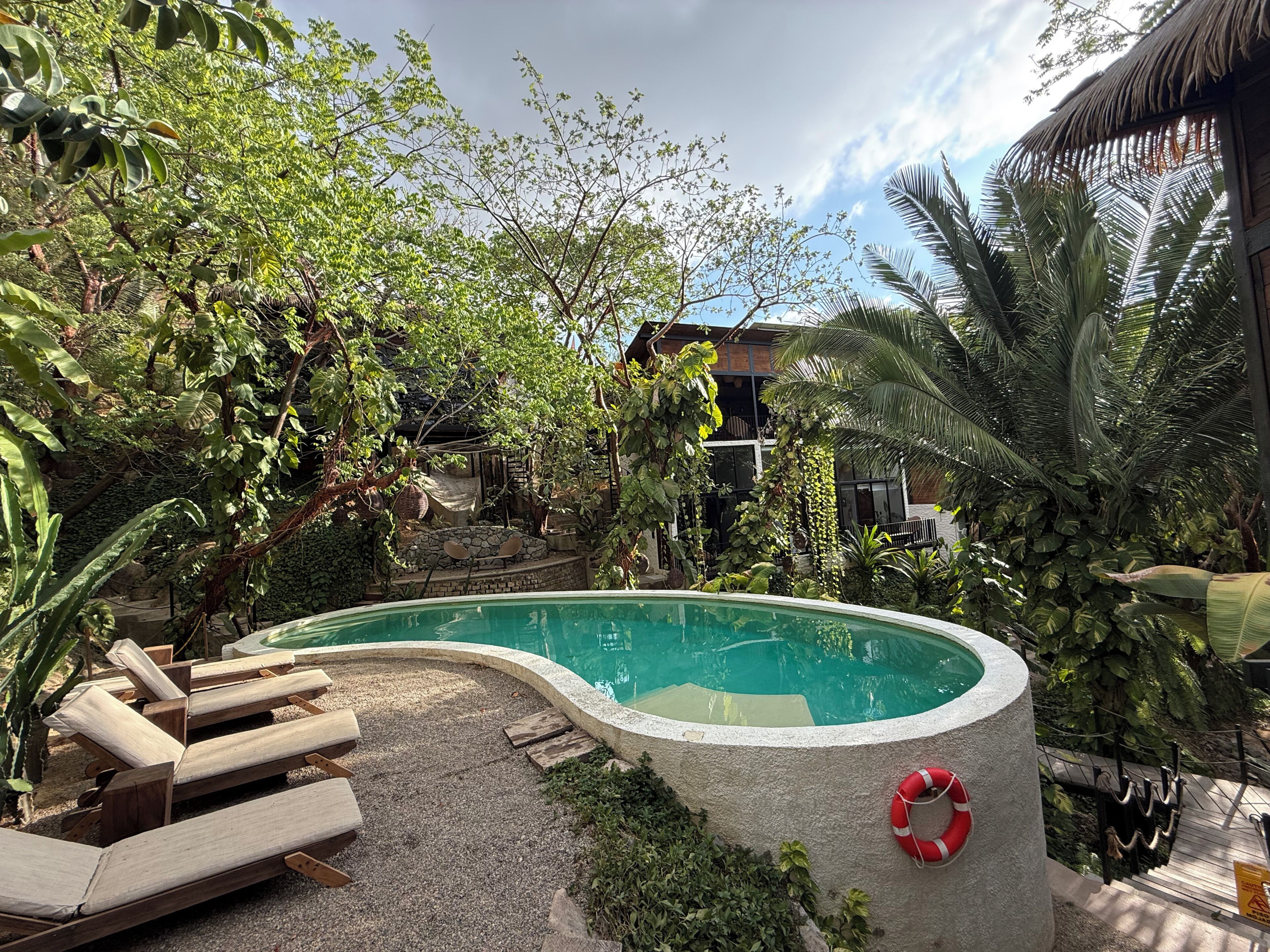 Outdoor pool, pool loungers