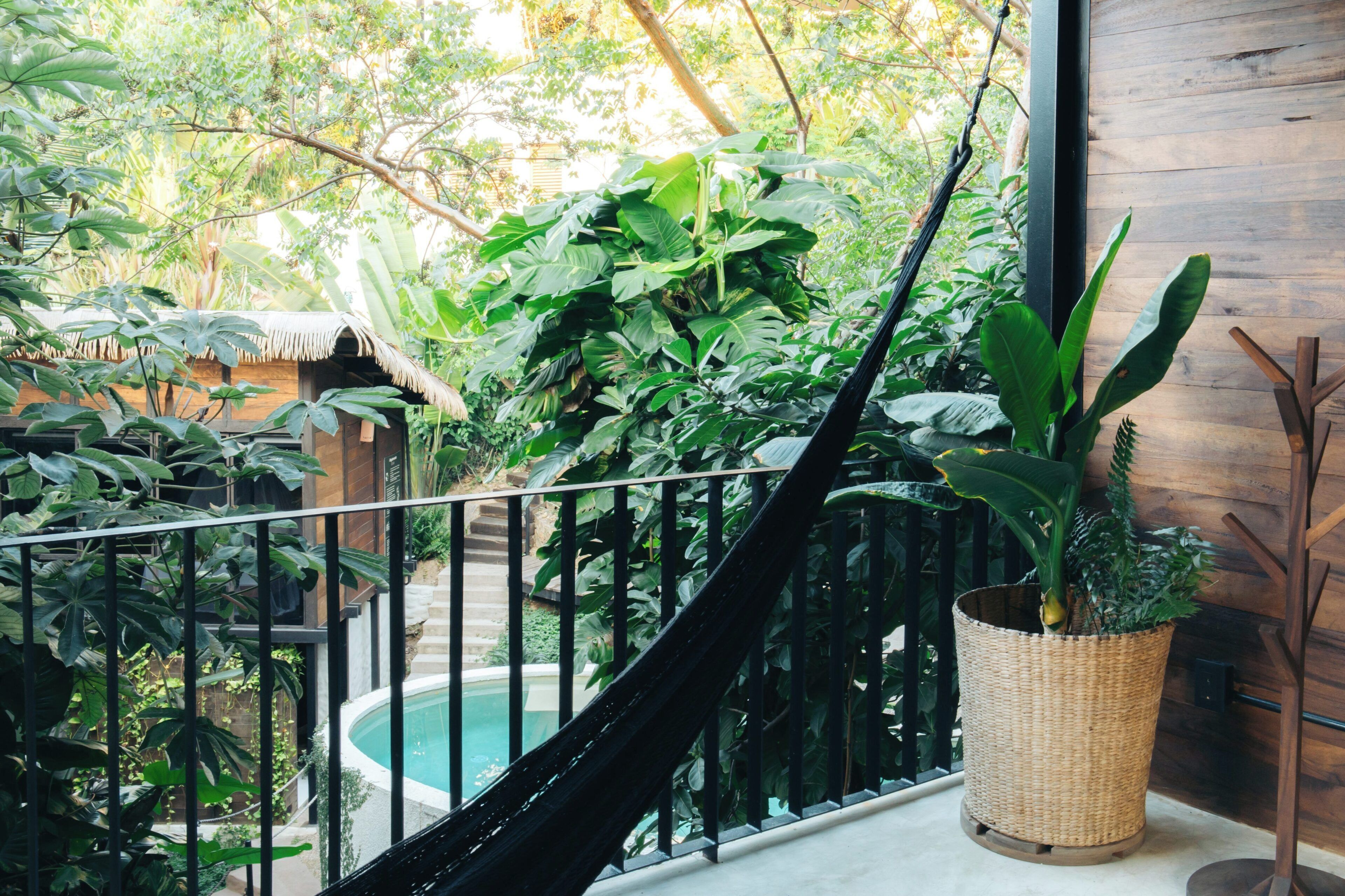 Suite, 1 queensize-seng | Terrasse/patio