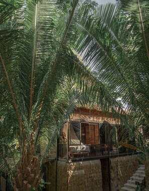 Exterior - Casa Selva Sayulita (Sayulita)