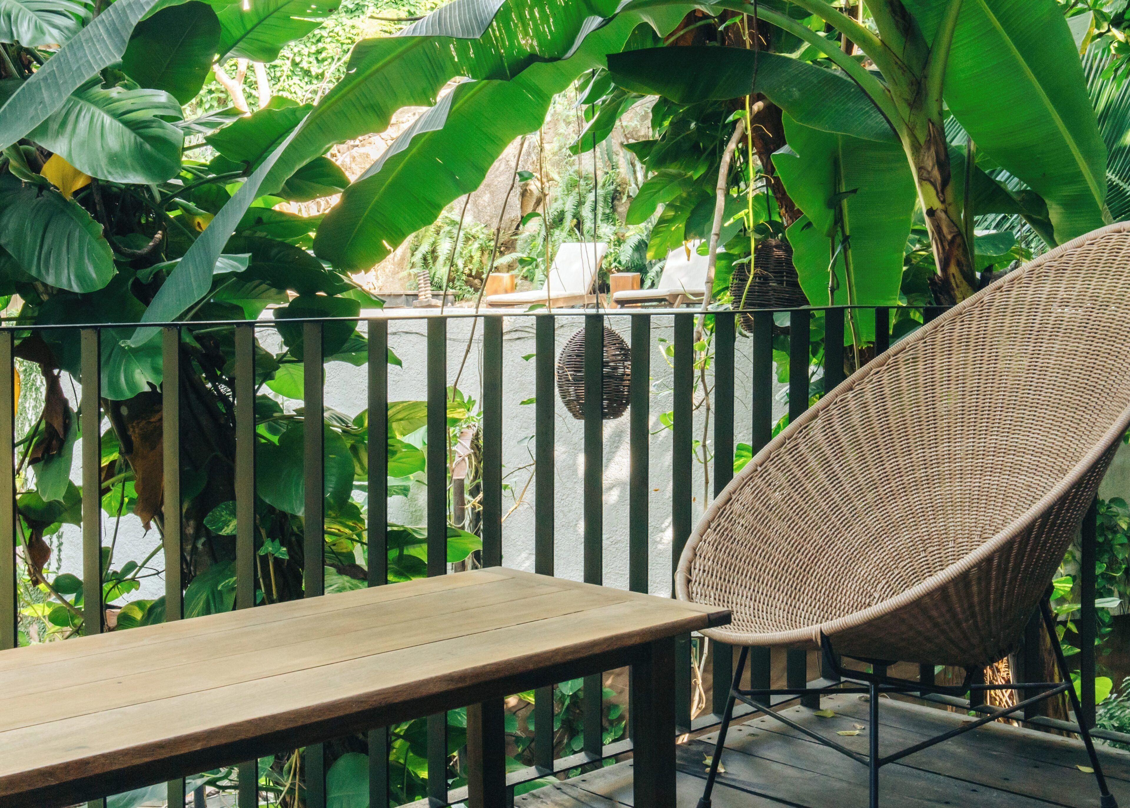 Studio, Garden View