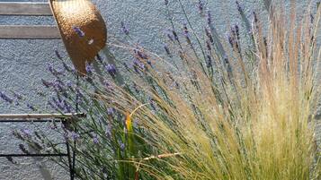 DĂ©tail de lâextĂ©rieur