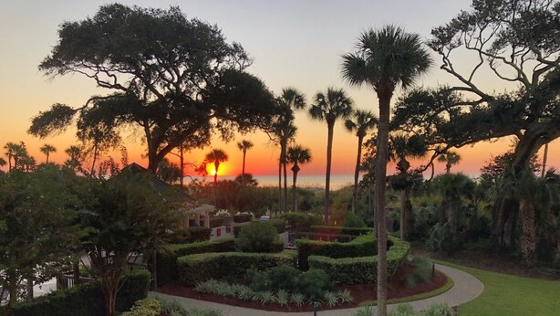 Un jardín ajardinado con un sendero curvo, palmeras y vistas al atardecer.