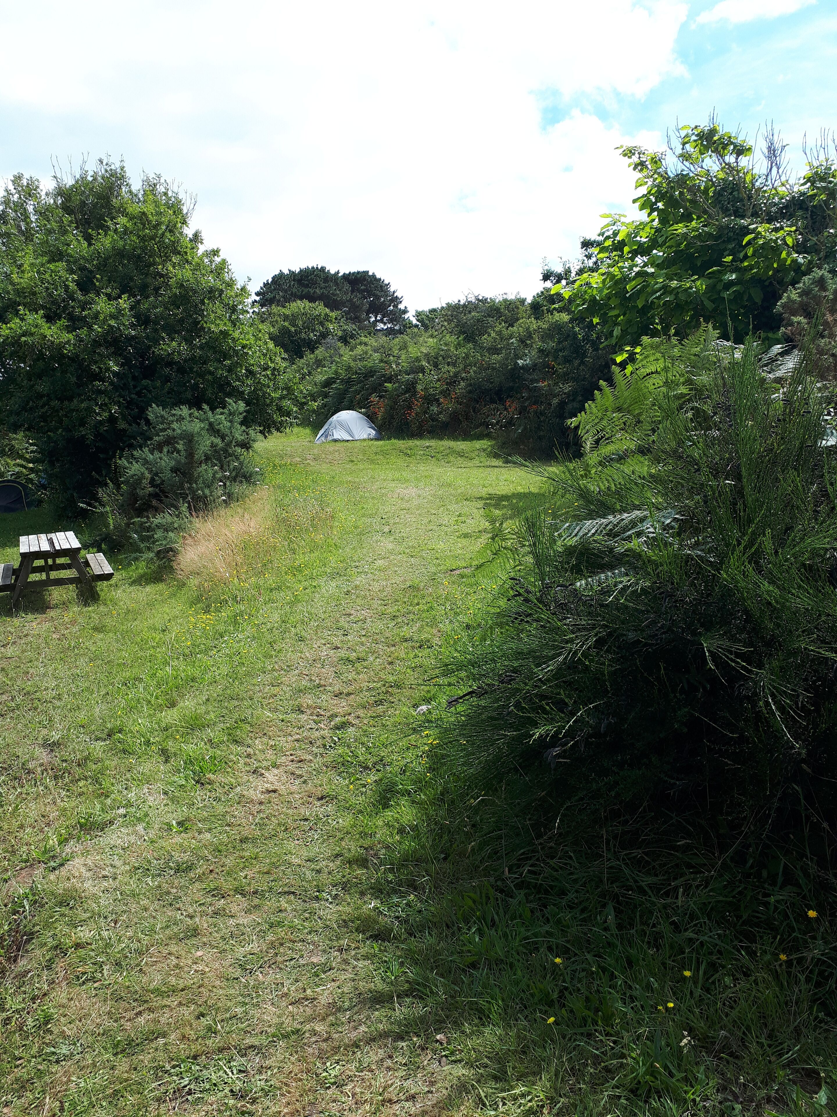 Un sentier herbeux mène à une tente située dans un cadre naturel, entourée d’une végétation luxuriante, et une table de pique-nique se trouve sur la gauche.