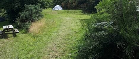 Un sentier herbeux mène à une tente située dans un cadre naturel, entourée d’une végétation luxuriante, et une table de pique-nique se trouve sur la gauche.