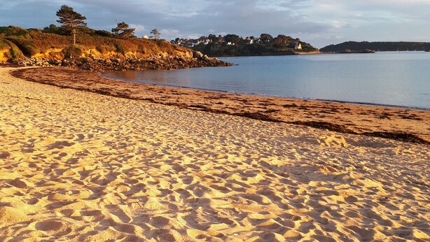 Una playa arenosa con huellas, un mar tranquilo y una costa distante con edificios y árboles.