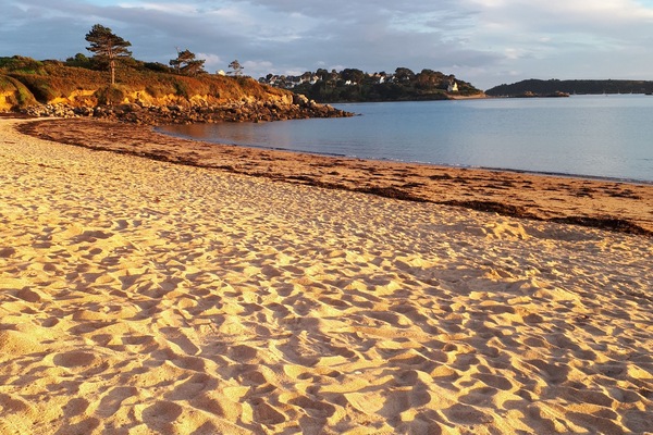 Beach nearby, scuba diving