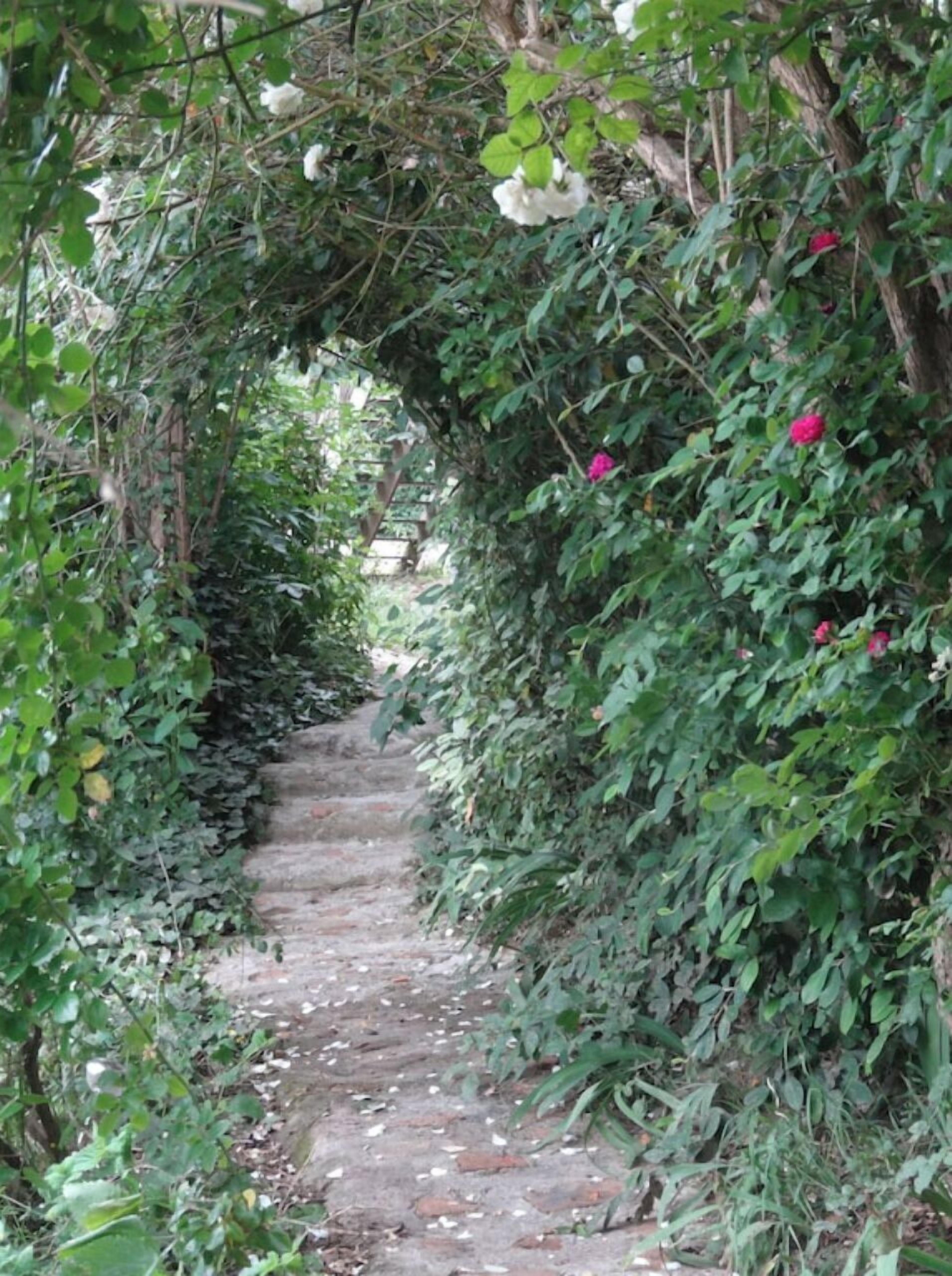 Sentier couvert pour l'été menant à la piscine