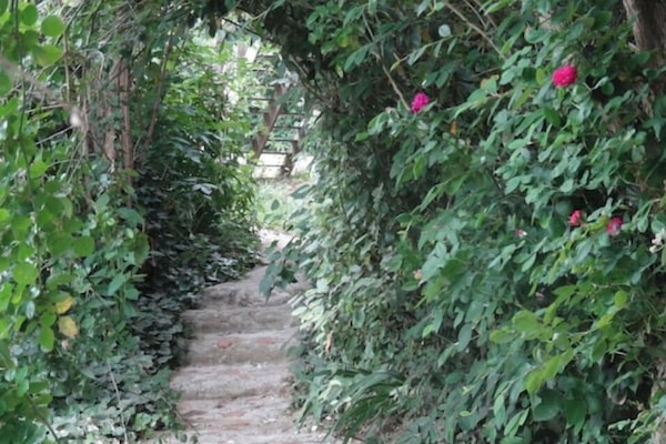 Sentier couvert pour l'été menant à la piscine