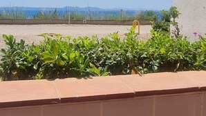 Una zona pavimentada con un muro bajo y arbustos verdes.