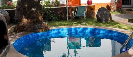 A swimming pool with a stone border, a wooden door, and a potted plant.
