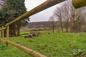 Property grounds - Unwind in Nature's Embrace with Sauna and Hot Tub - WOODLANDS (Luccombe)