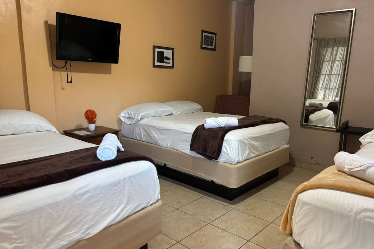 A hotel room with two beds, a TV, a mirror, and a small table with a vase of flowers.