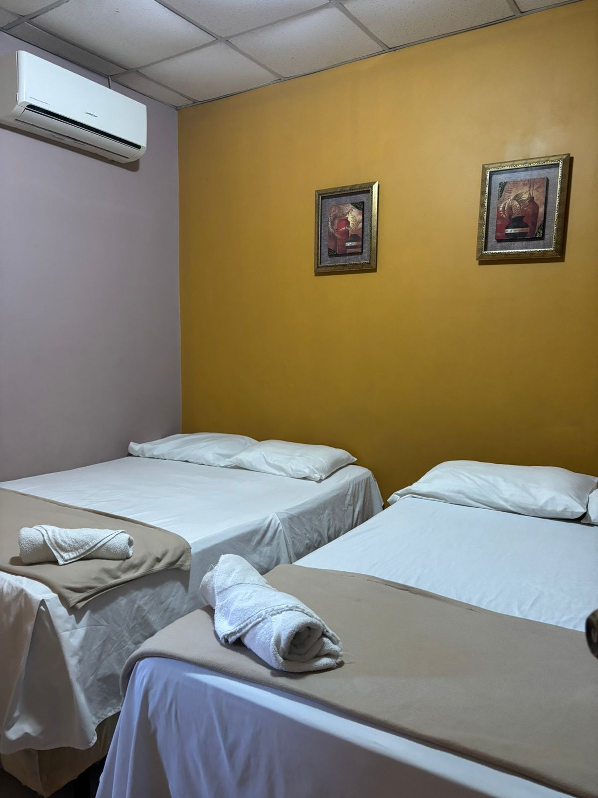 basic twin room | iron/ironing board, free wifi, bed sheets