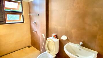 Combined shower/tub, bidet