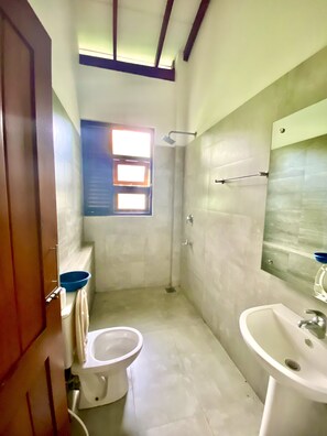 Combined shower/bathtub, bidet