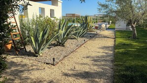 A garden with a gravel path, large agave plants, and a white building with windows. - Dimora Calauriia - Adults Only (Noto)