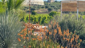 A garden with a white dome structure, a wooden pergola, and various plants. - Dimora Calauriia - Adults Only (Noto)
