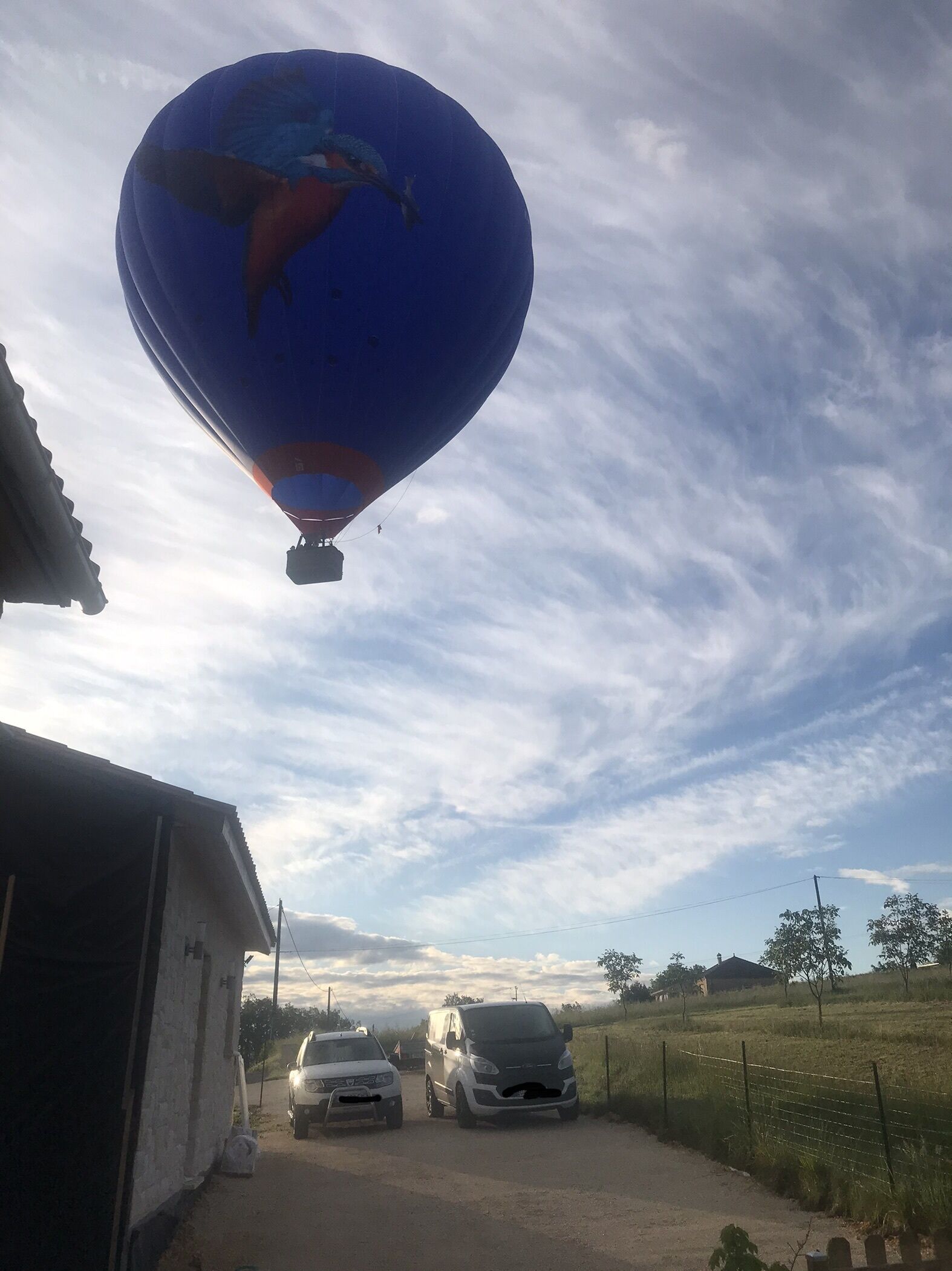A hot air balloon with a dolphin design flying above a rural road.