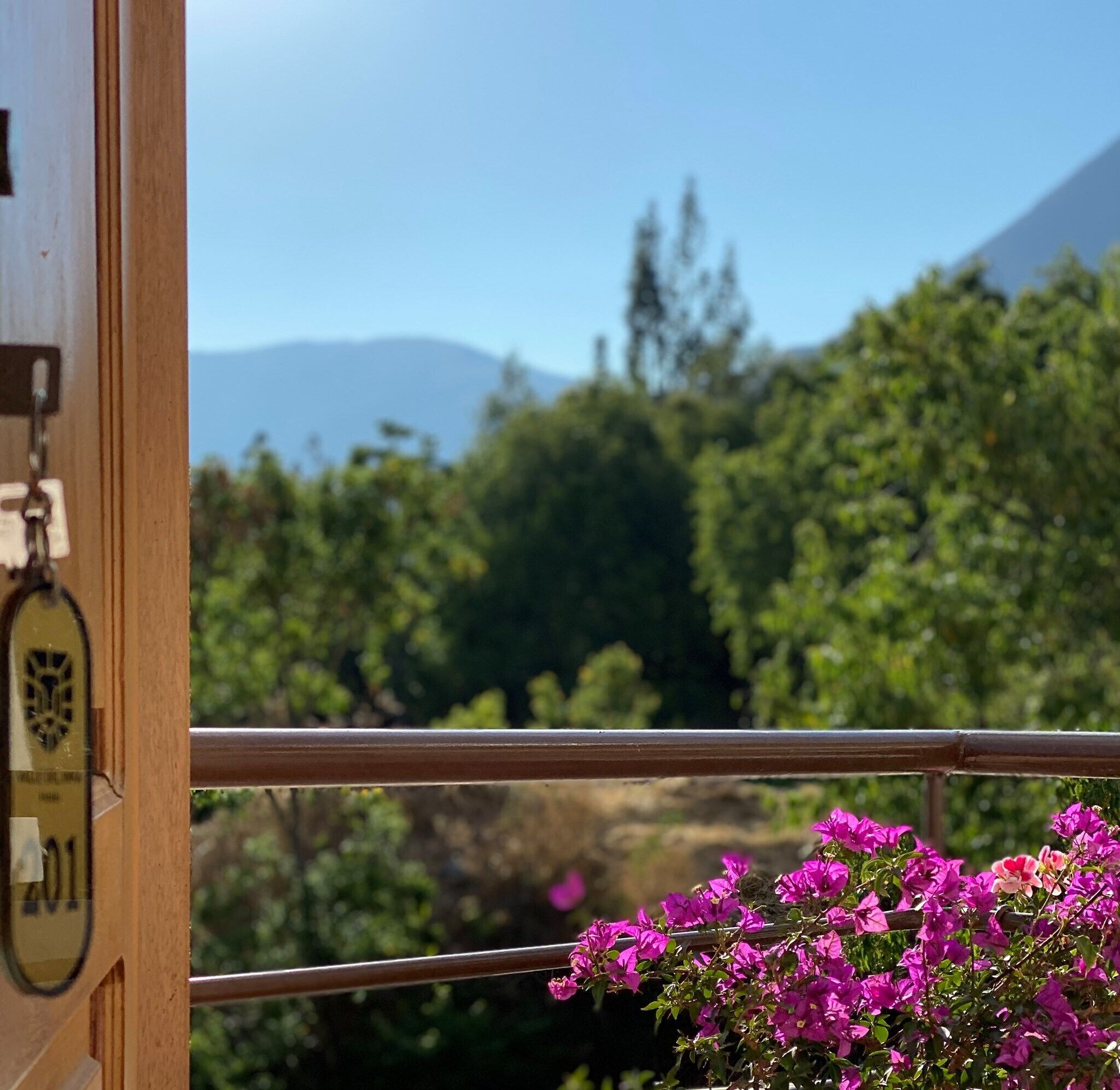 Un balcón con vistas a un paisaje montañoso y abundante vegetación.