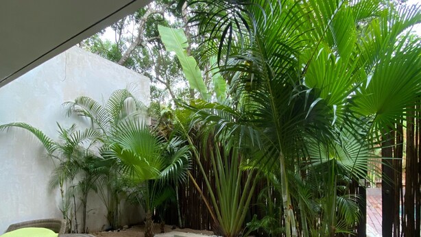 Unclassified image, 1 of 16, button - Kabah Luxury Apartment  (Tulum)