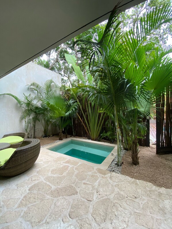 Departamento de diseñador | Alberca privada