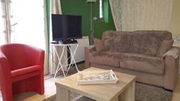 电视、乒乓球、书