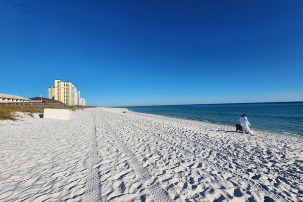 Plage à proximité, chaises longues, serviettes de plage