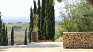 Un muro de piedra con una planta en maceta y altos cipreses al fondo.