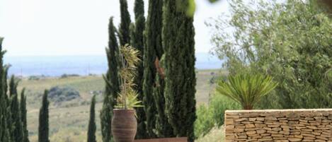 A stone wall with a potted plant and tall cypress trees in the background.
