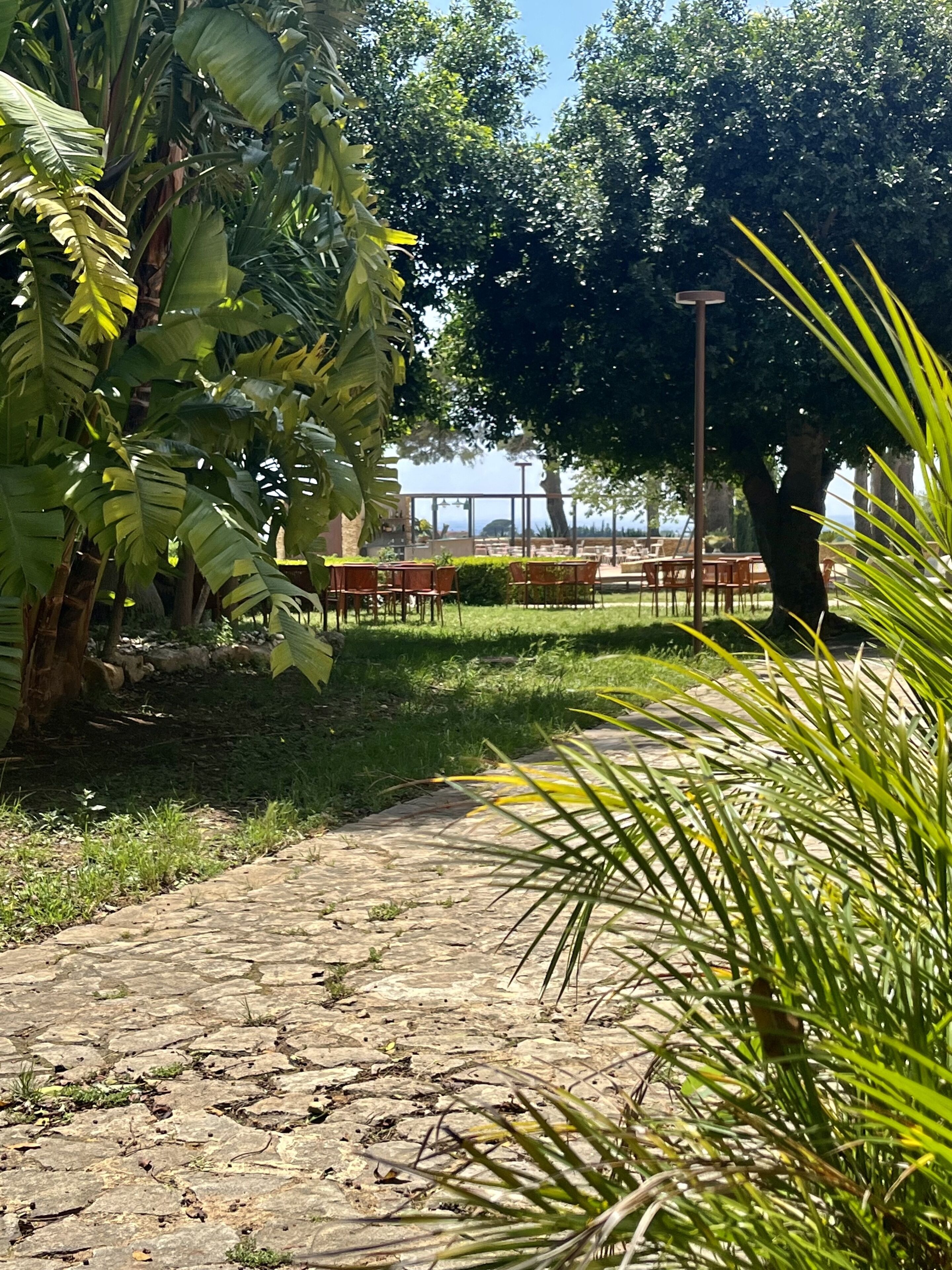 A paved pathway leading to outdoor seating with tables and chairs, surrounded by lush greenery and trees.