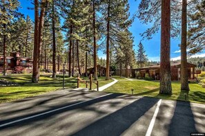 Escape to a serene forest retreat surrounded by tall pine trees and a well-manicured lawn.
