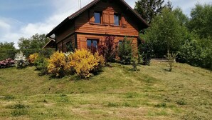 A wooden house with a sloped roof, surrounded by a grassy area and various shrubs. - Exceptional ski slopes superb chalet for 4 people 2 bedrooms 2 toilets (Gérardmer)