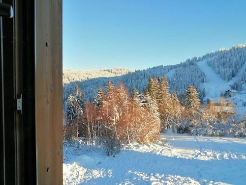 Exceptional ski slopes superb chalet for 4 people 2 bedrooms 2 toilets