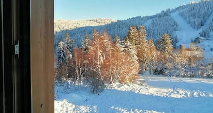 Exceptional ski slopes superb chalet for 4 people 2 bedrooms 2 toilets