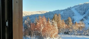 Exceptional ski slopes superb chalet for 4 people 2 bedrooms 2 toilets