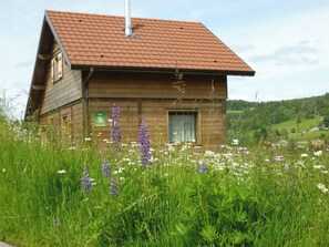 Property grounds - Exceptional ski slopes superb chalet for 4 people 2 bedrooms 2 toilets (Gérardmer)