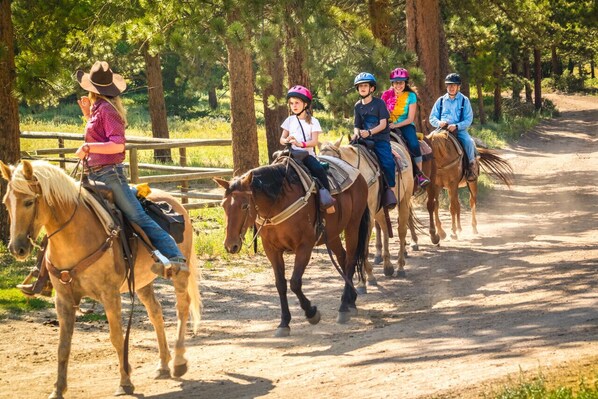 A group of people riding horses on a dirt path surrounded by trees.