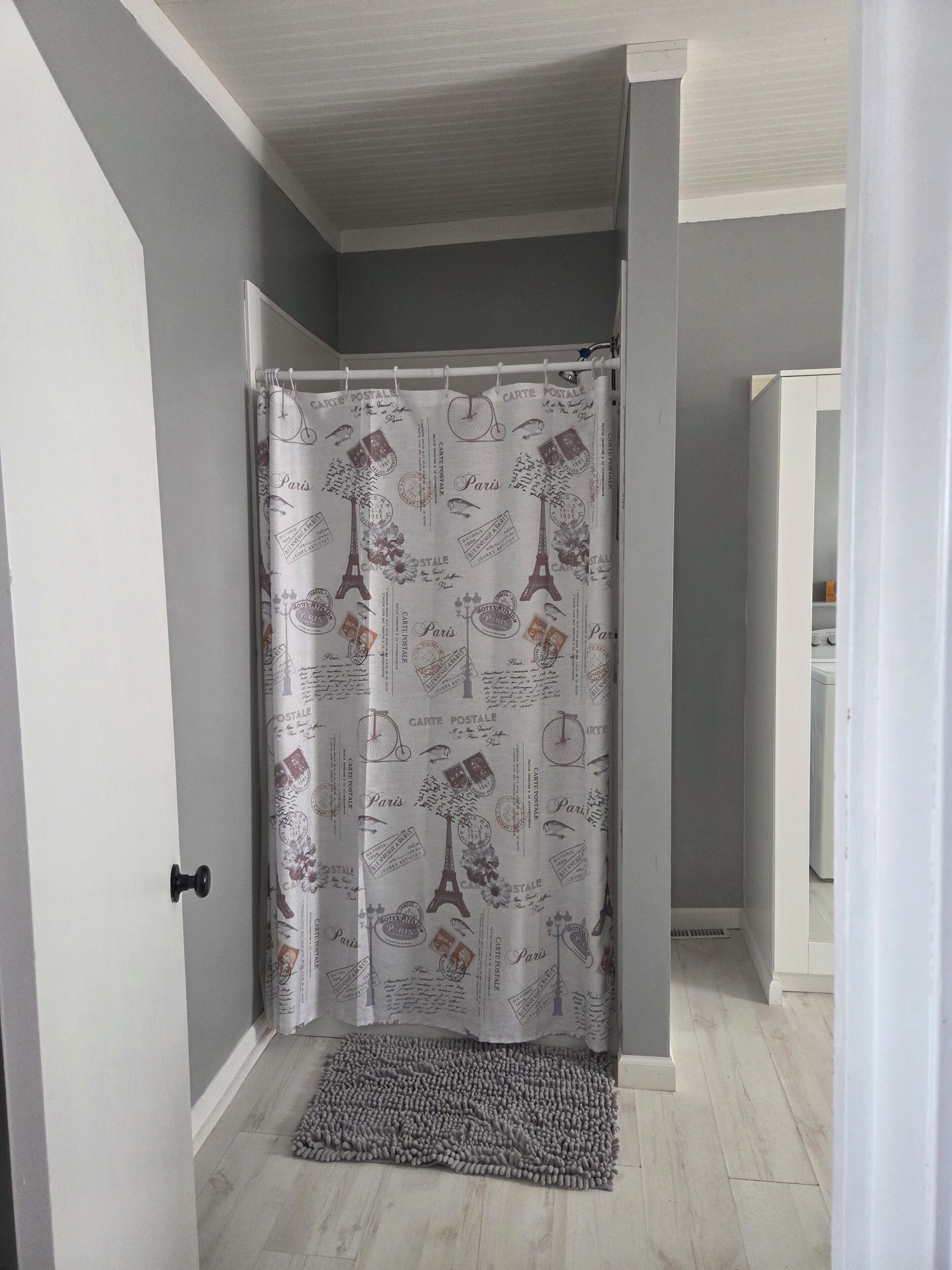 Ein Badezimmer mit einer Duschvorhang mit Pariser Motiven, einer weißen Tür und einem grauen Teppich auf dem Boden.