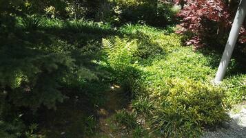 Terrain de l’hébergement