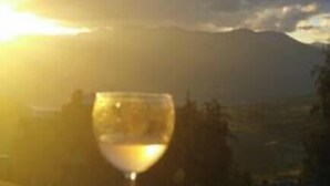 Een glas witte wijn met een bergzicht op de achtergrond.