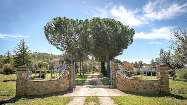 A stone gate leading to a pathway surrounded by trees and a clear sky.