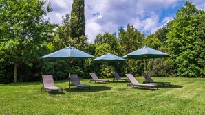 A grassy area with lounge chairs and umbrellas, surrounded by trees and a clear sky. - Agriturismo "Rosaspina - Apartment 3" with Shared Pool and Garden (Capalbio)