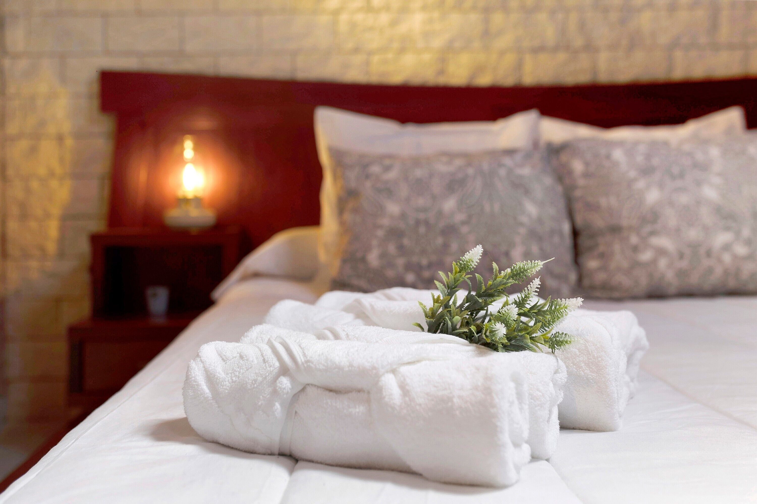 Una cama bien hecha con sábanas blancas y una pequeña planta a un lado.
