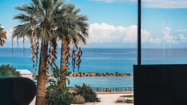 A view of a beach with palm trees and a rocky shoreline.