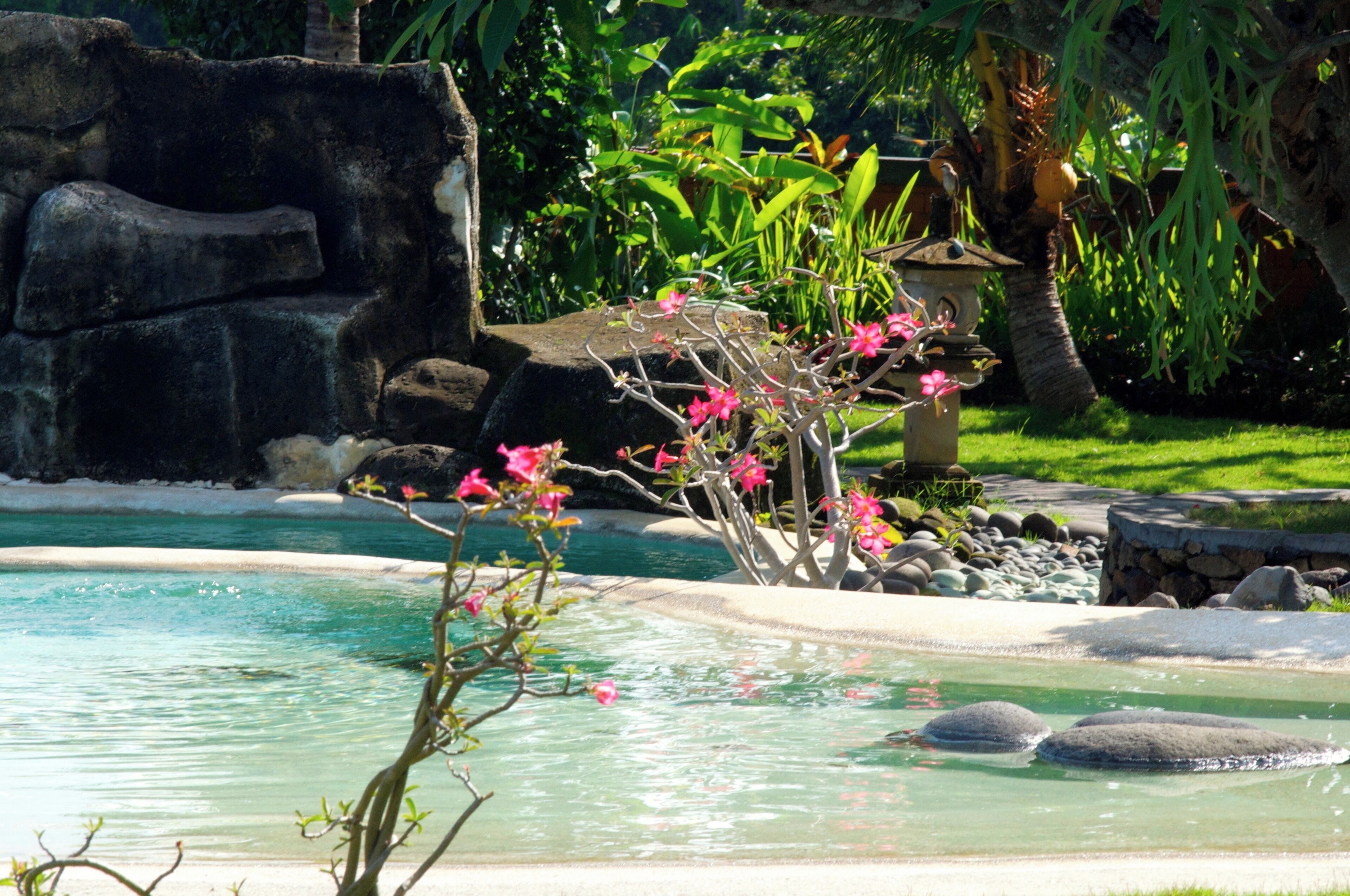 Photo - Villa Bali Pondok Jepang