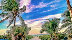 Une plage bordée de palmiers, avec des chaises longues et un ciel dégagé.